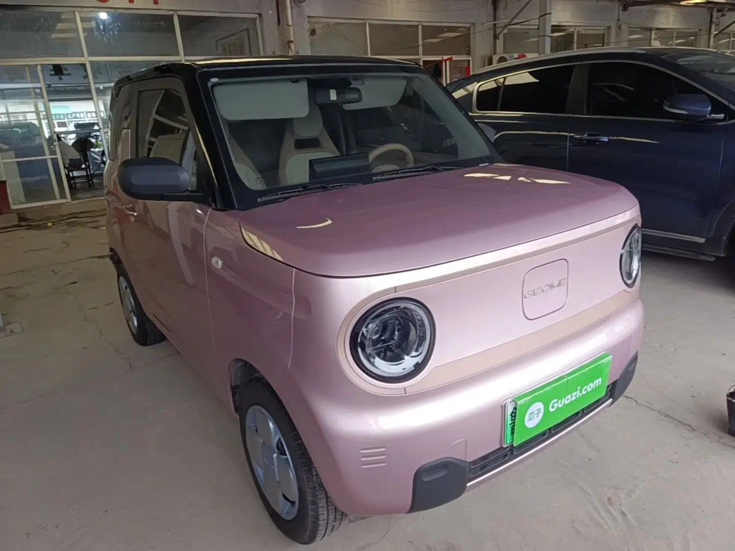 Geely Galaxy Panda 2024 Facelifted Panda Mini 200km Dragon Edition — миниатюра 6