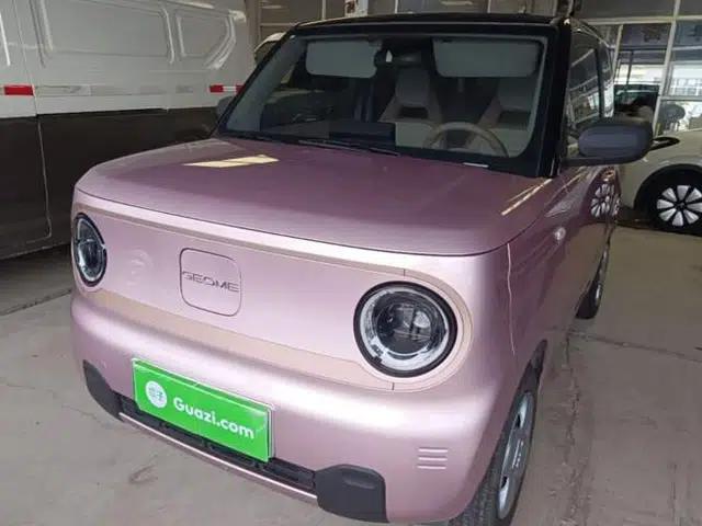 Geely Galaxy Panda 2024 Facelifted Panda Mini 200km Dragon Edition