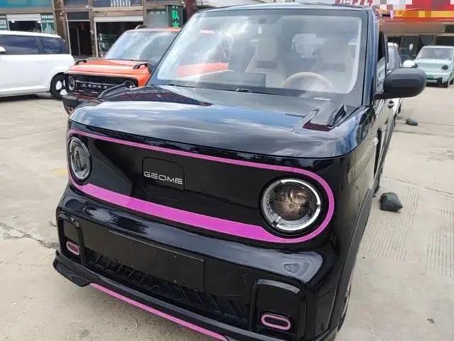 Geely Galaxy Panda 2024 200km Panda Kart