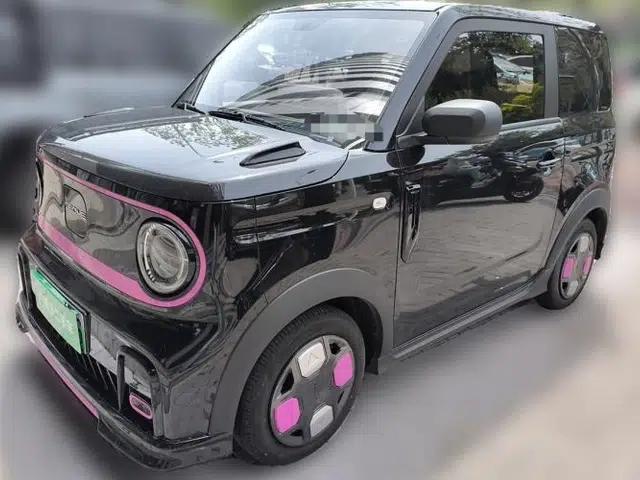 Geely Galaxy Panda 2025 210km Panda Kart