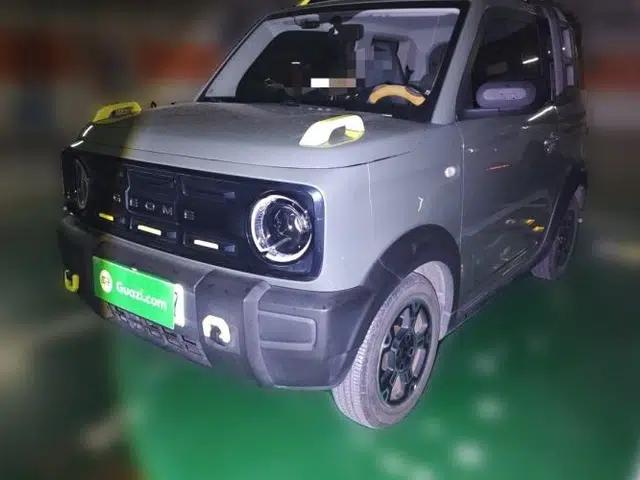 Geely Galaxy Panda 2024 200km Panda Rider