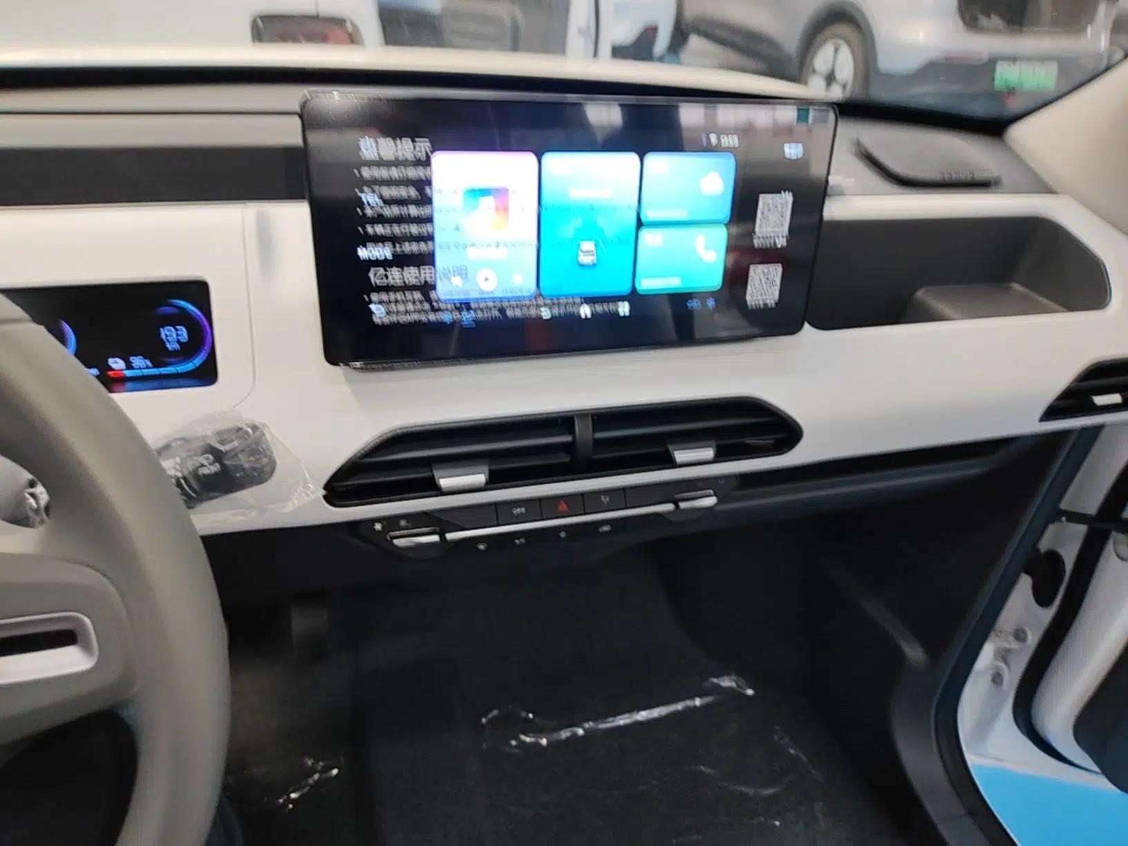 Geely Galaxy Panda 2024 Panda Mini 200km Endurance Bear — миниатюра 16