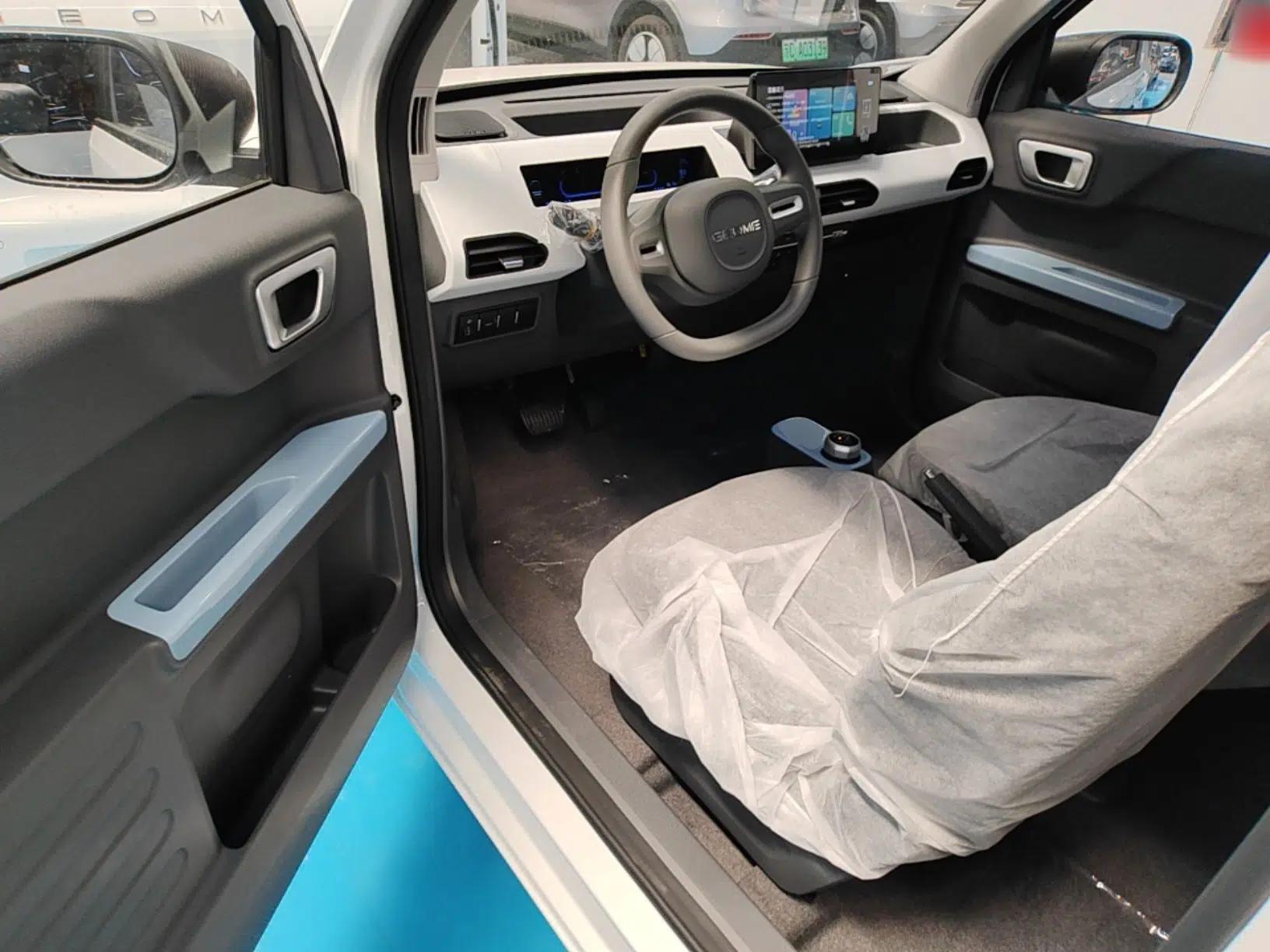 Geely Galaxy Panda 2024 Panda Mini 200km Endurance Bear — миниатюра 19