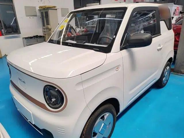 Geely Galaxy Panda 2024 Panda Mini 200km Endurance Bear