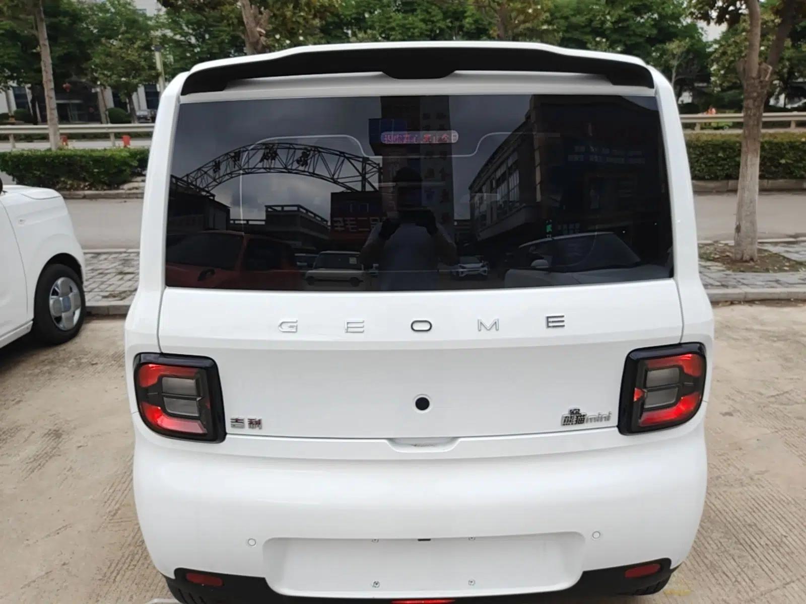 Geely Galaxy Panda 2025 210 km – Yuanqi Bear — миниатюра 3