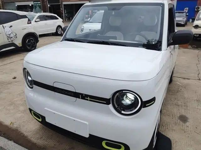 Geely Galaxy Panda 2025 210 km – Yuanqi Bear