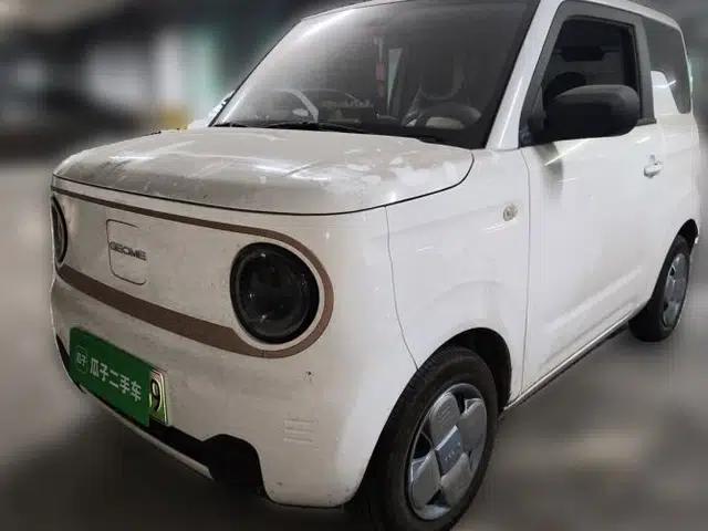 Geely Galaxy Panda 2024 200km Panda Kart