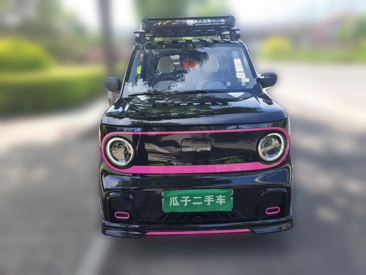 Geely Galaxy Panda 2025 210km Panda Kart — миниатюра 2