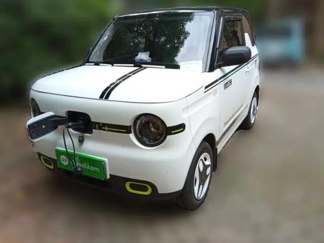 Geely Galaxy Panda 2025 210 km – Yuanqi Bear