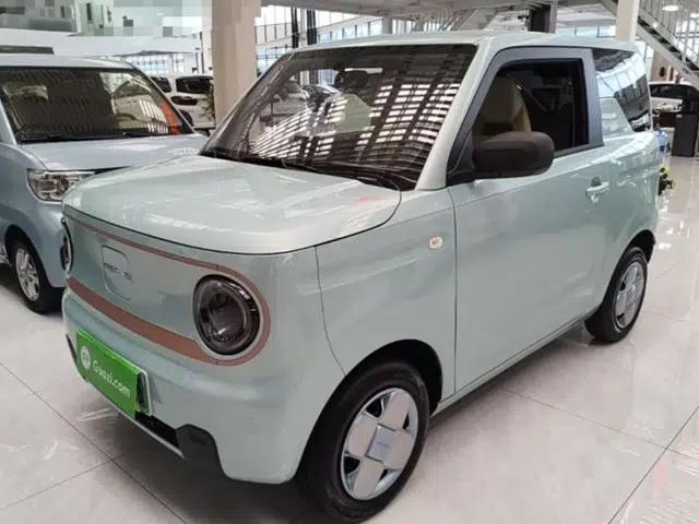 Geely Galaxy Panda 2024 Panda Mini 200km Endurance Bear
