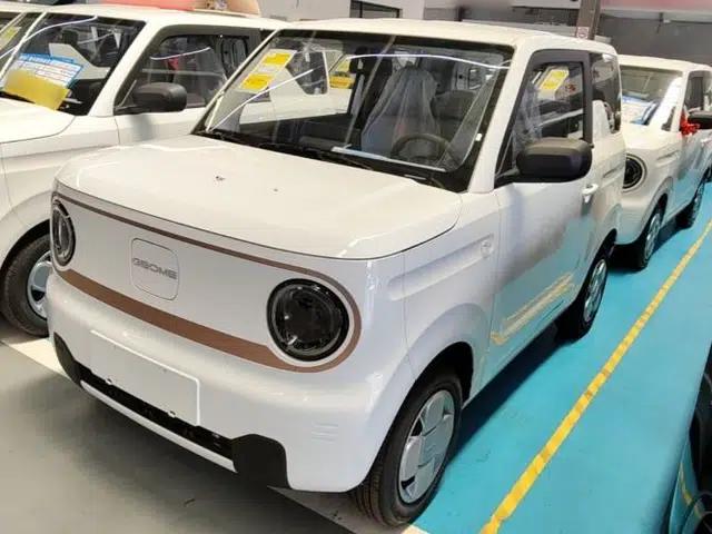 Geely Galaxy Panda 2024 Panda Mini 200km Endurance Bear