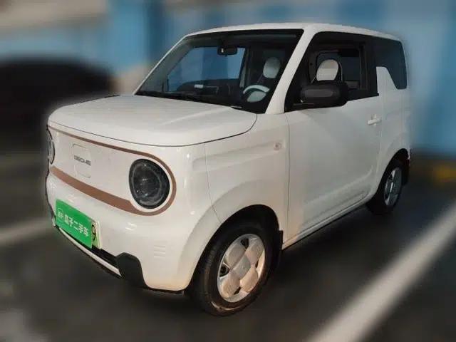 Geely Galaxy Panda 2024 Panda Mini 200km Longteng PRO Edition
