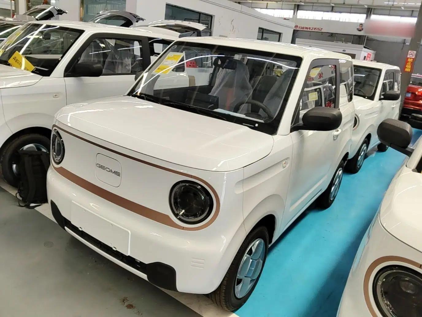 Geely Galaxy Panda 2024 Panda Mini 200km Endurance Bear — миниатюра 1