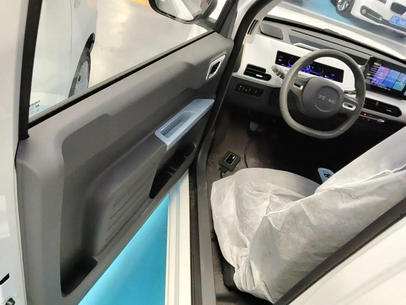 Geely Galaxy Panda 2024 Panda Mini 200km Endurance Bear — миниатюра 19