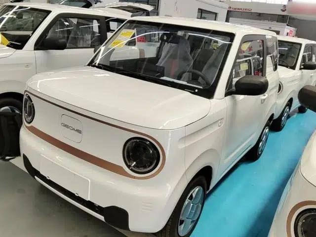 Geely Galaxy Panda 2024 Panda Mini 200km Endurance Bear
