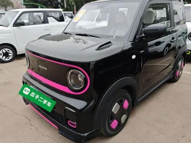 Geely Galaxy Panda 2025 210km Panda Kart