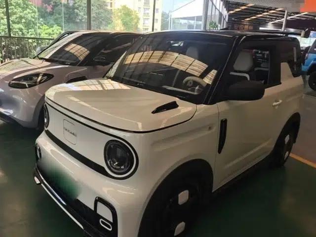 Geely Galaxy Panda 2024 200km Panda Kart