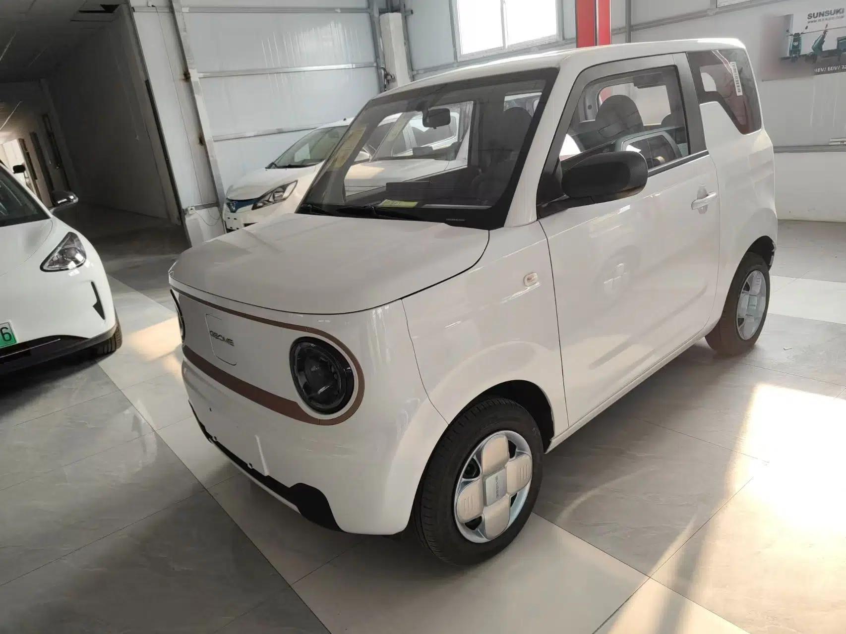 Geely Galaxy Panda 2024 Panda Mini 200km Endurance Bear — миниатюра 1