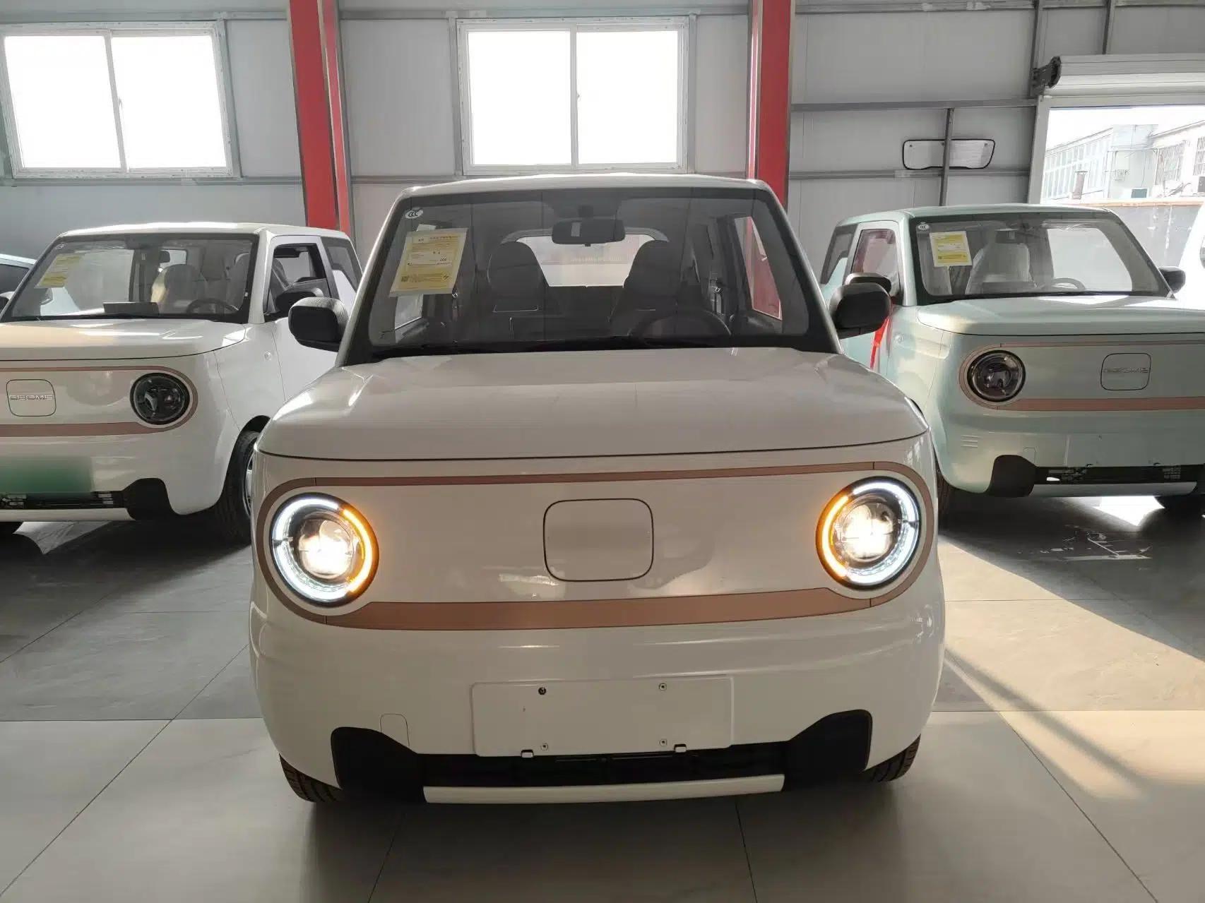 Geely Galaxy Panda 2024 Panda Mini 200km Endurance Bear — миниатюра 2