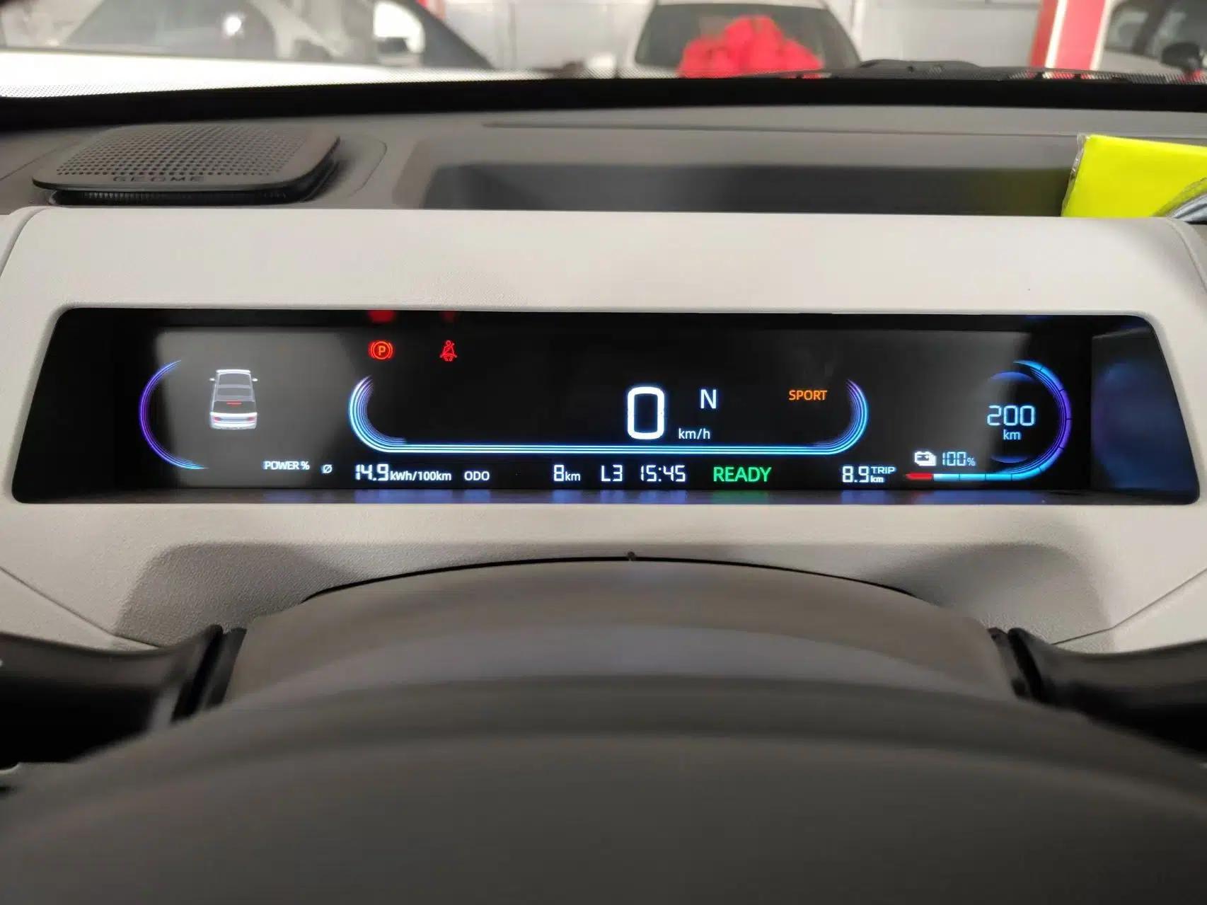 Geely Galaxy Panda 2024 Panda Mini 200km Endurance Bear — миниатюра 15