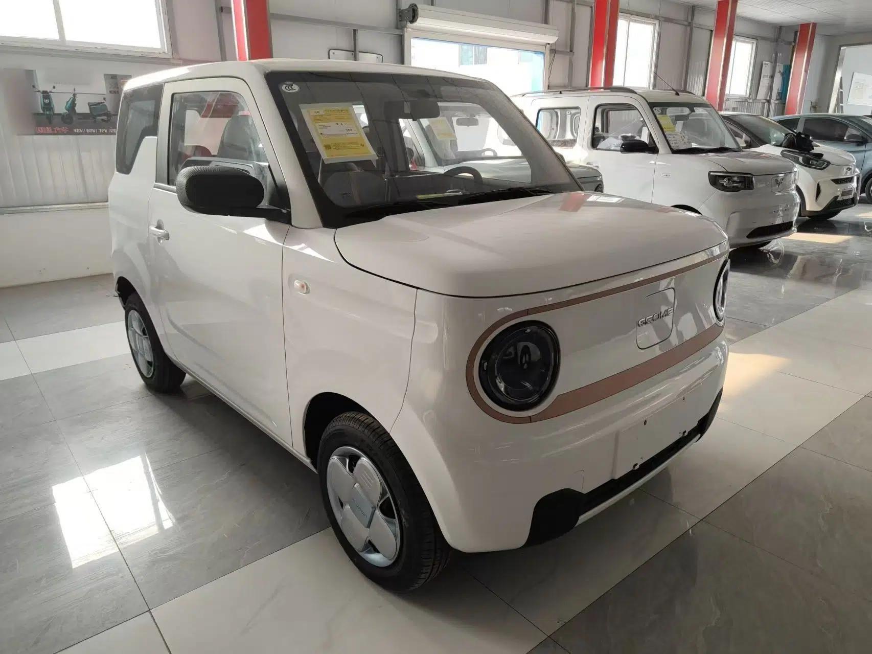 Geely Galaxy Panda 2024 Panda Mini 200km Endurance Bear — миниатюра 3