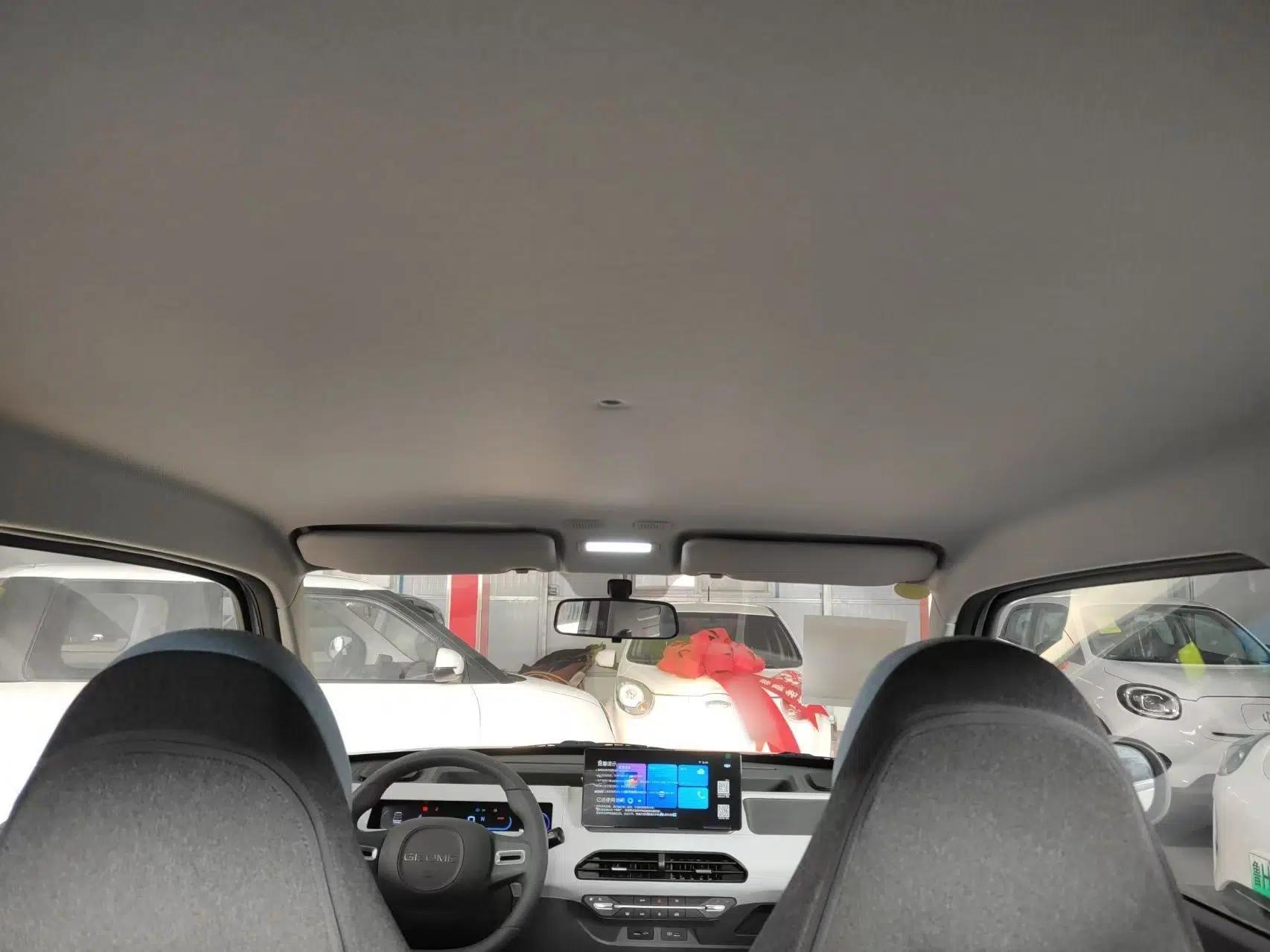 Geely Galaxy Panda 2024 Panda Mini 200km Endurance Bear — миниатюра 21