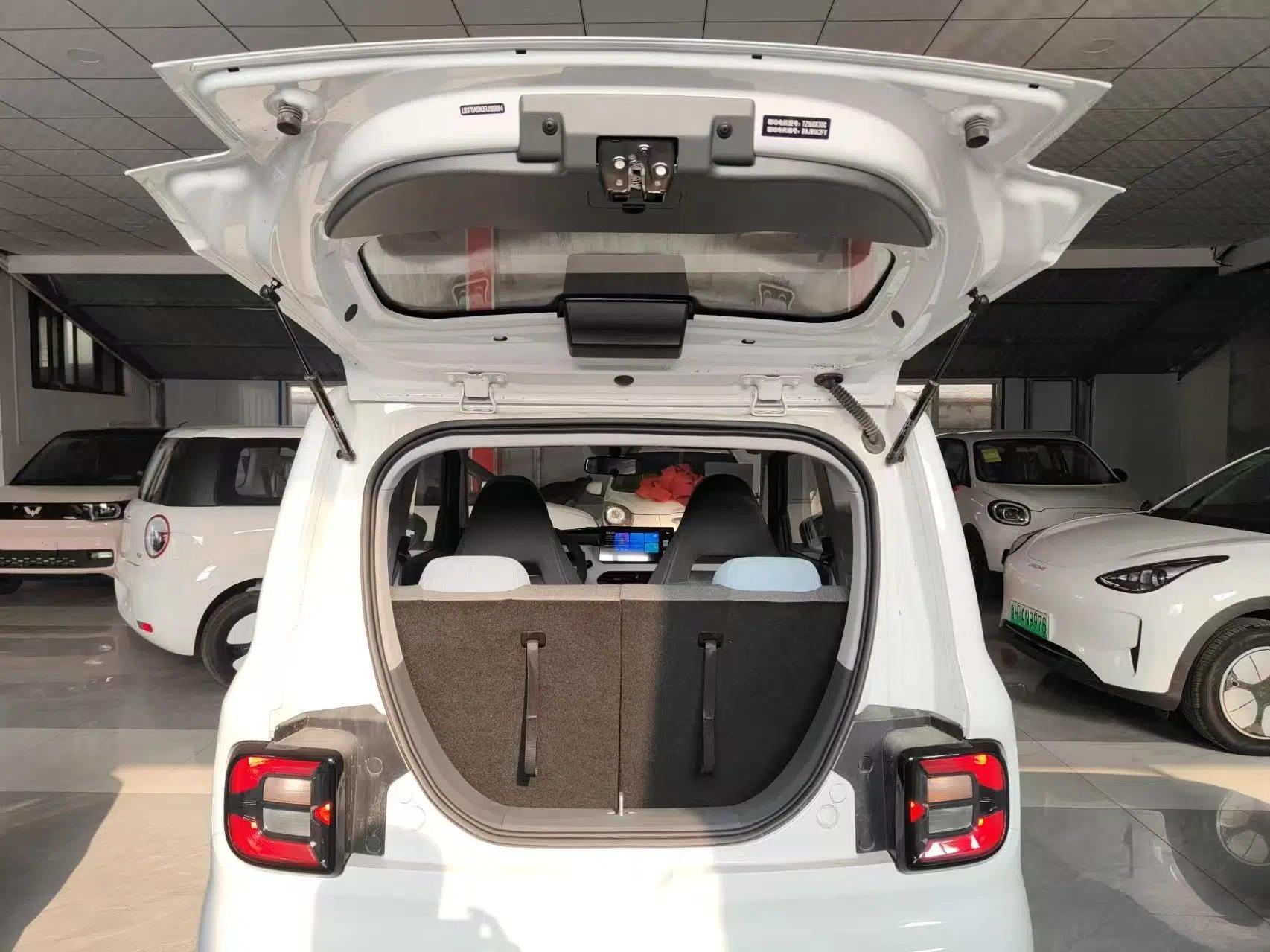 Geely Galaxy Panda 2024 Panda Mini 200km Endurance Bear — миниатюра 22