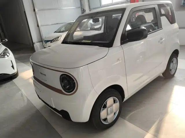 Geely Galaxy Panda 2024 Panda Mini 200km Endurance Bear