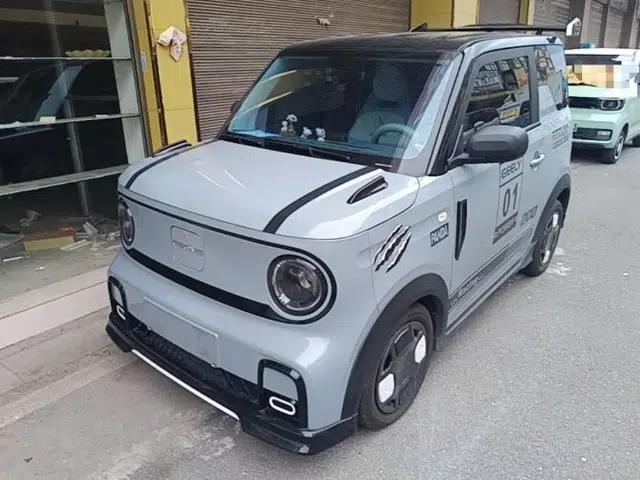 Geely Galaxy Panda 2025 210km Panda Kart