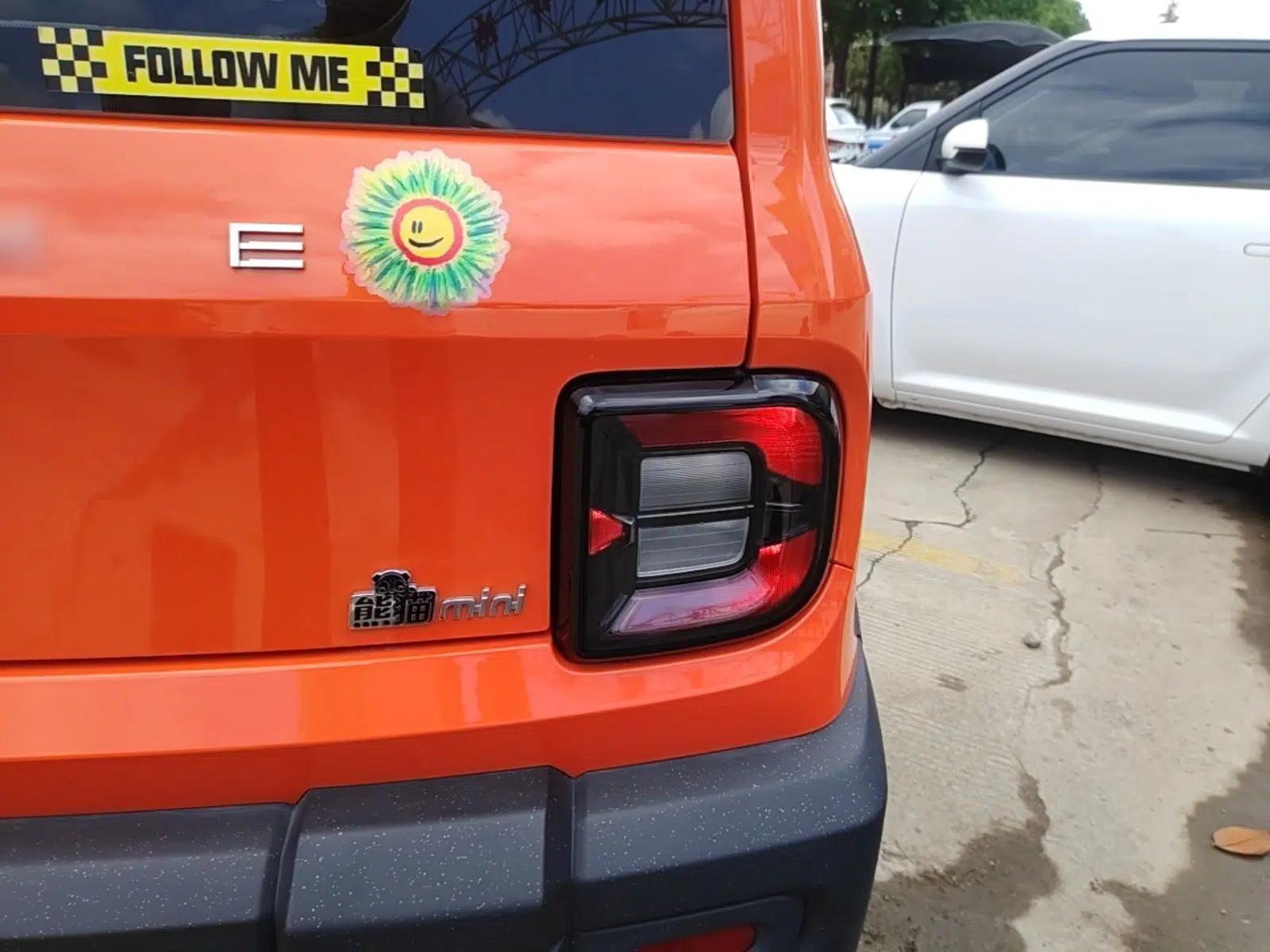 Geely Galaxy Panda 2025 210km Panda Rider — миниатюра 7