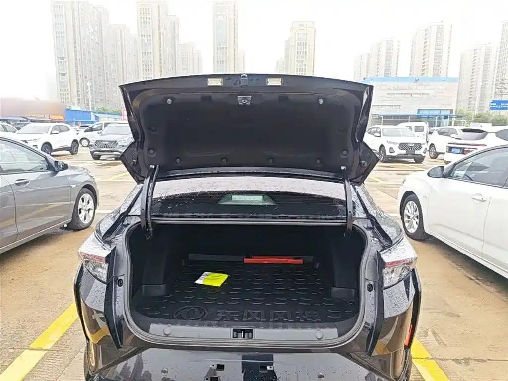 Aeolus Yixuan 2021 230T Automatic Dream Chaser Edition — миниатюра 19