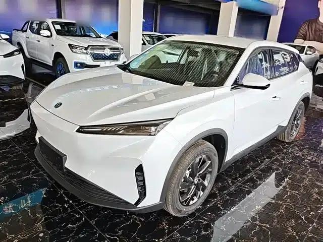 SKY EV01 2025 530km AIR Elite Edition