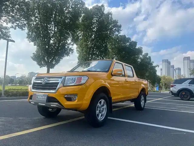 Rich 2019 2.4L Gasoline National VI Two-Wheel Drive Standard Model with Standard Box 2TZD