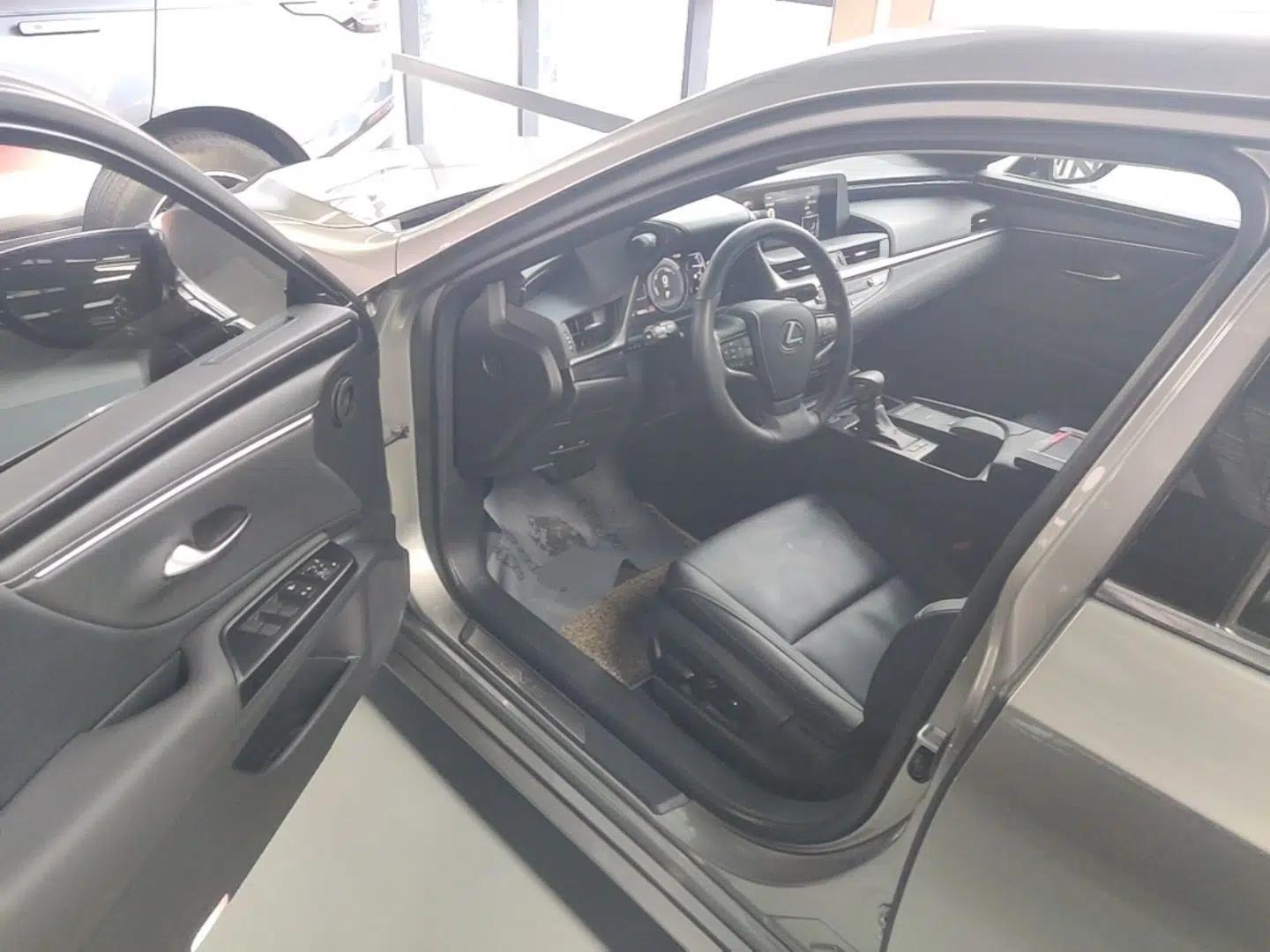 Lexus ES 2018 300h Premier Edition China VI Standard — миниатюра 19