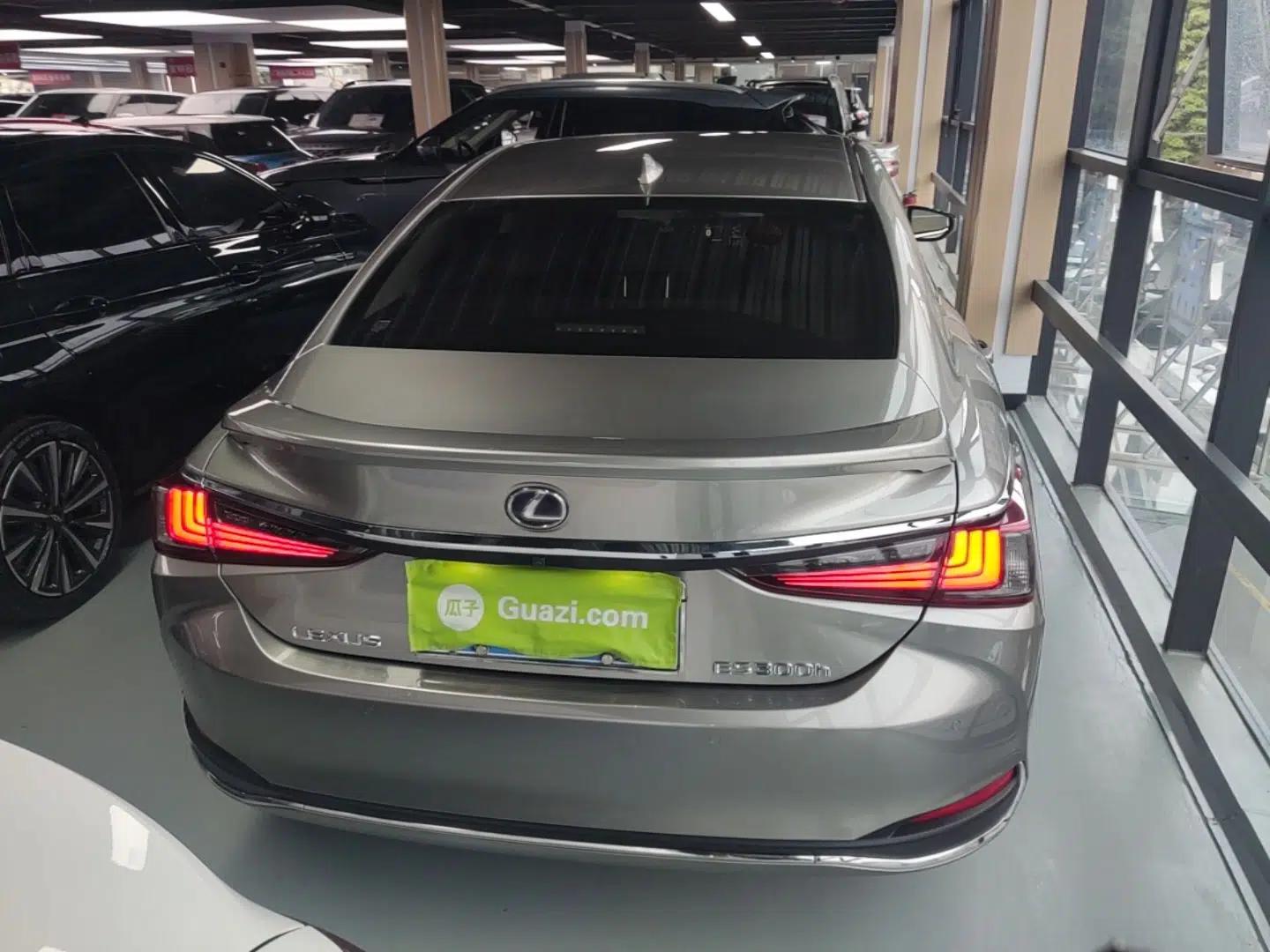 Lexus ES 2018 300h Premier Edition China VI Standard — миниатюра 5