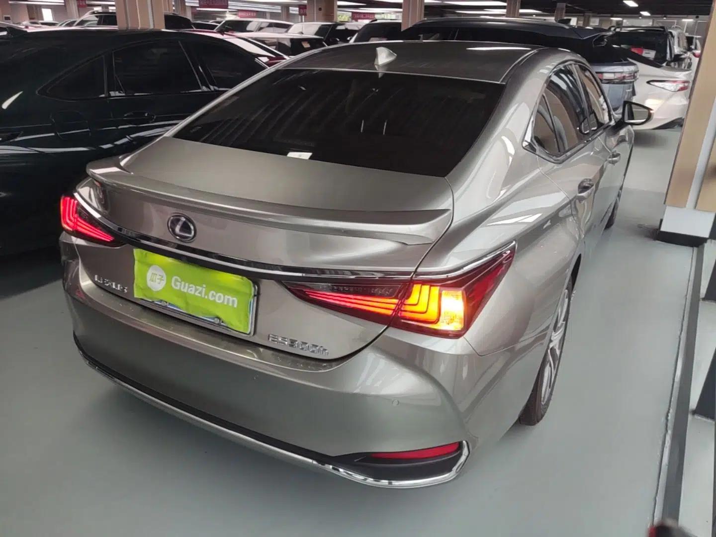 Lexus ES 2018 300h Premier Edition China VI Standard — миниатюра 6