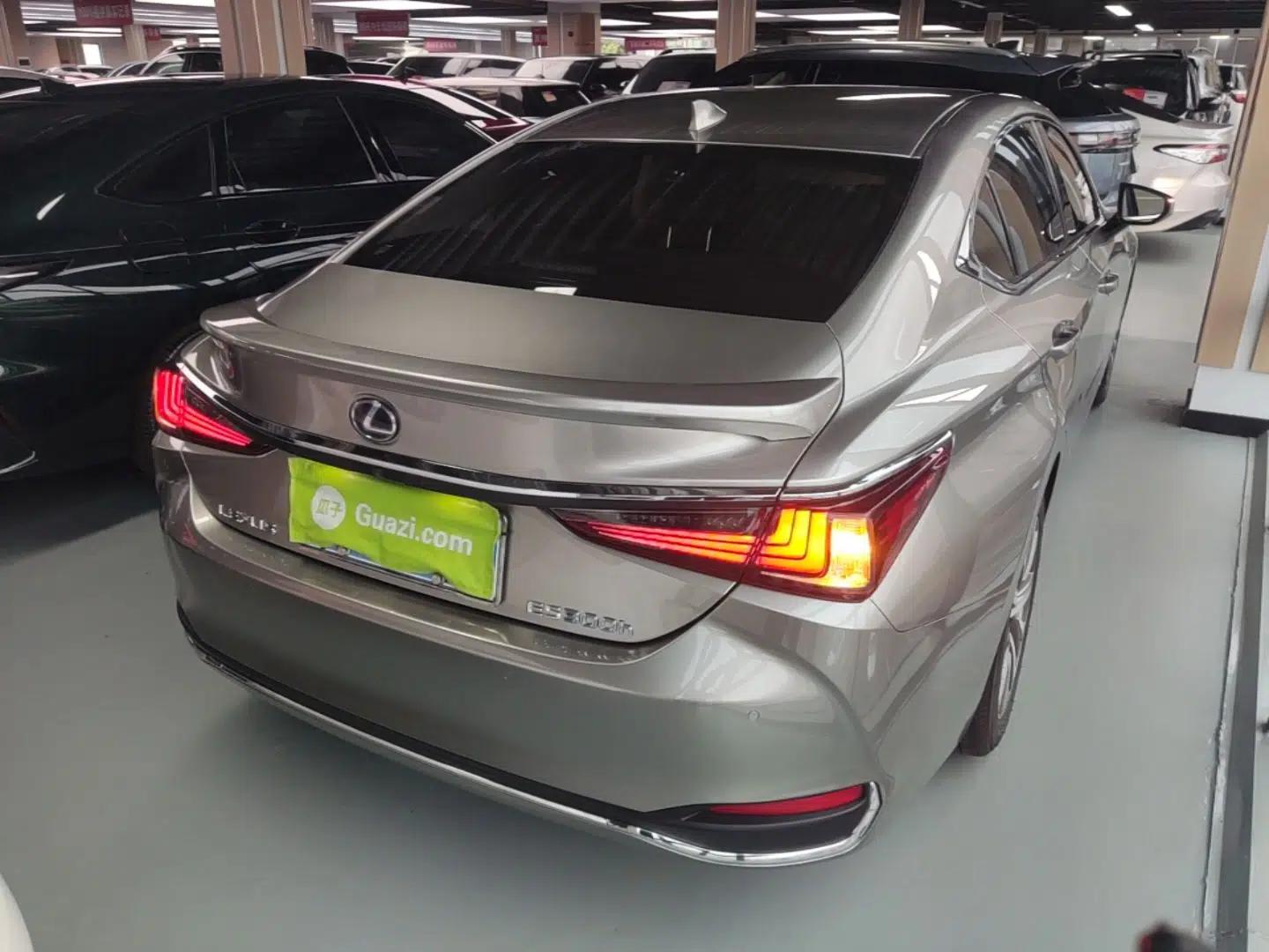 Lexus ES 2018 300h Premier Edition China VI Standard — миниатюра 7