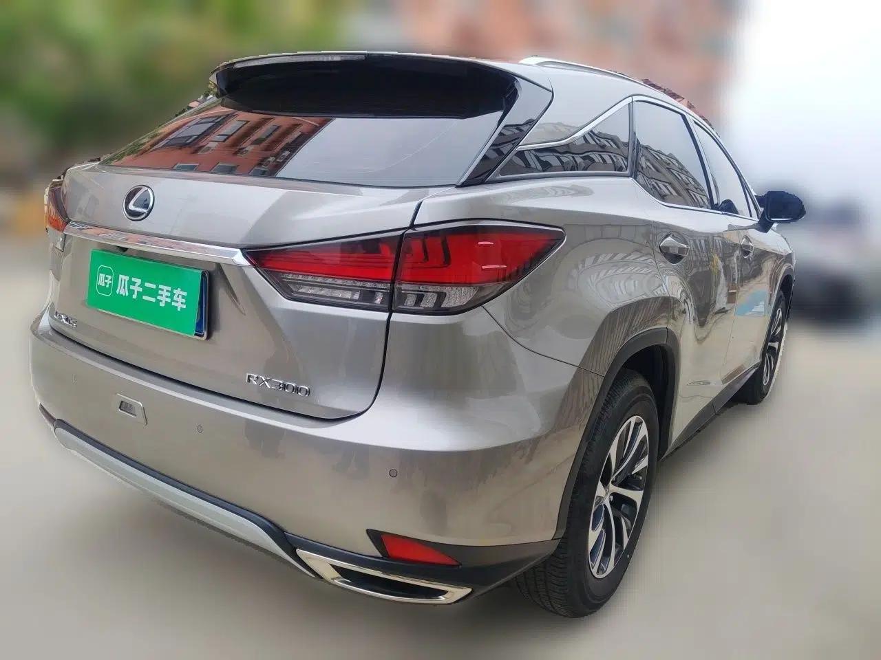 Lexus RX 2020 Revised Version 300 Two-Wheel Drive Elite Edition — миниатюра 6