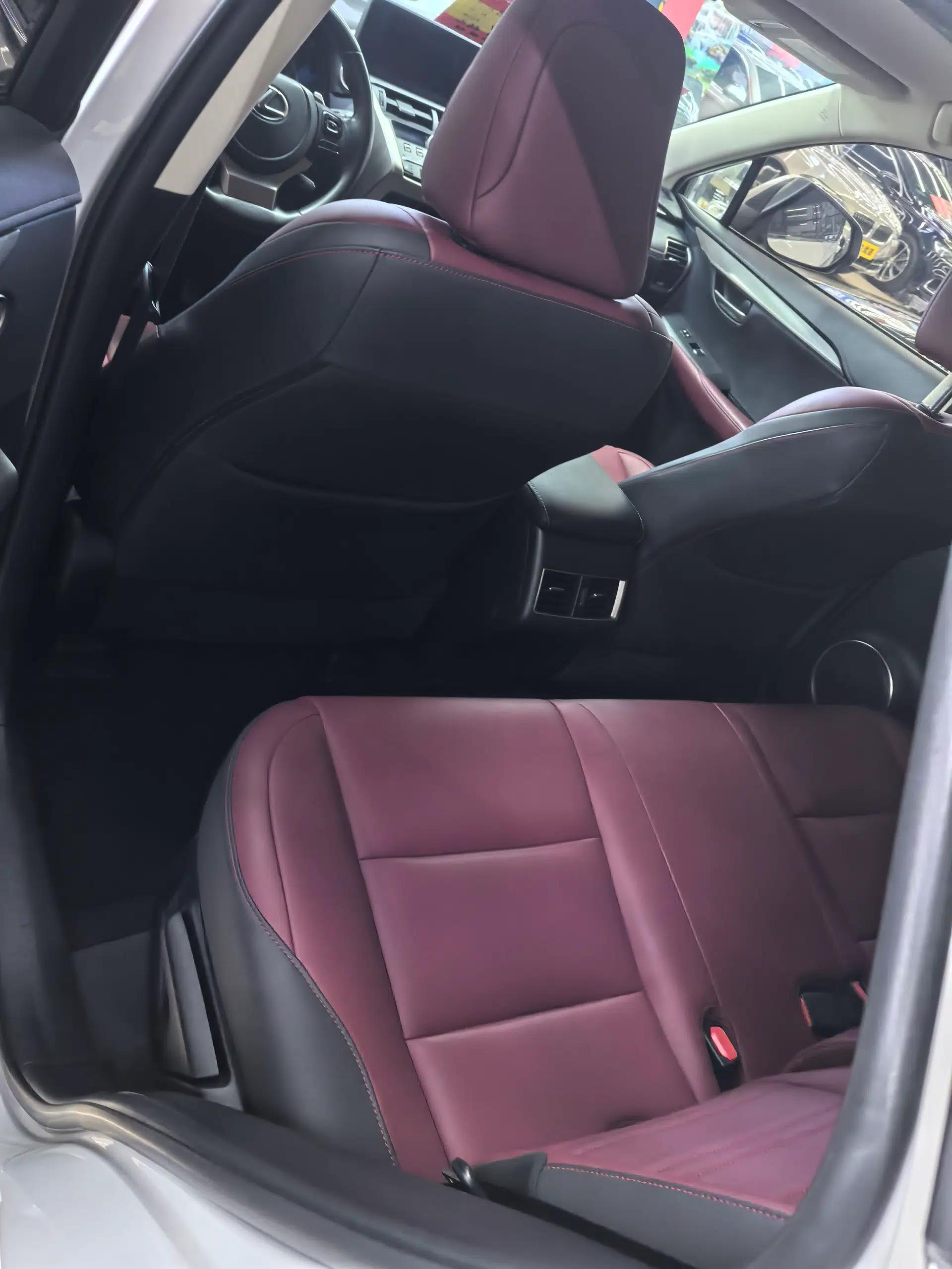 Lexus NX 2020 200 Front-Wheel Drive Vmotion Edition China VI Standard — миниатюра 10