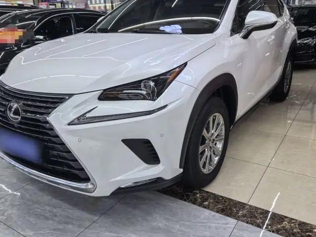 Lexus NX 2020 200 Front-Wheel Drive Vmotion Edition China VI Standard