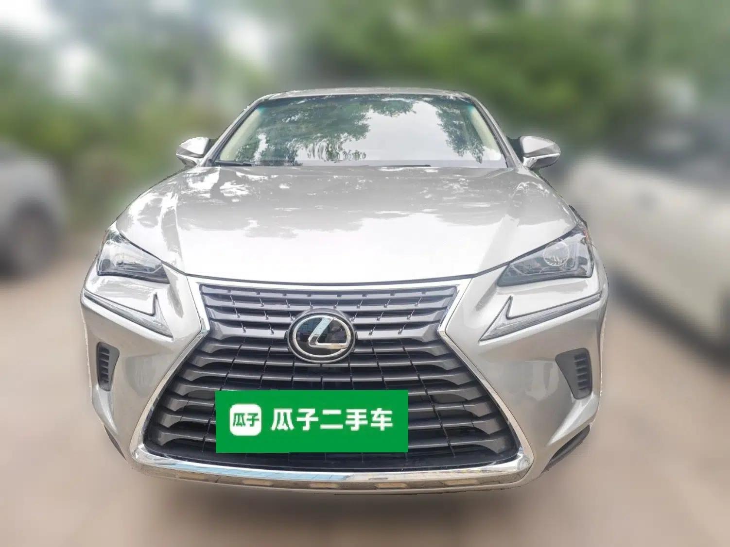 Lexus NX 2018 200 Front-Wheel-Drive X-Trail Version China V Standard — миниатюра 2