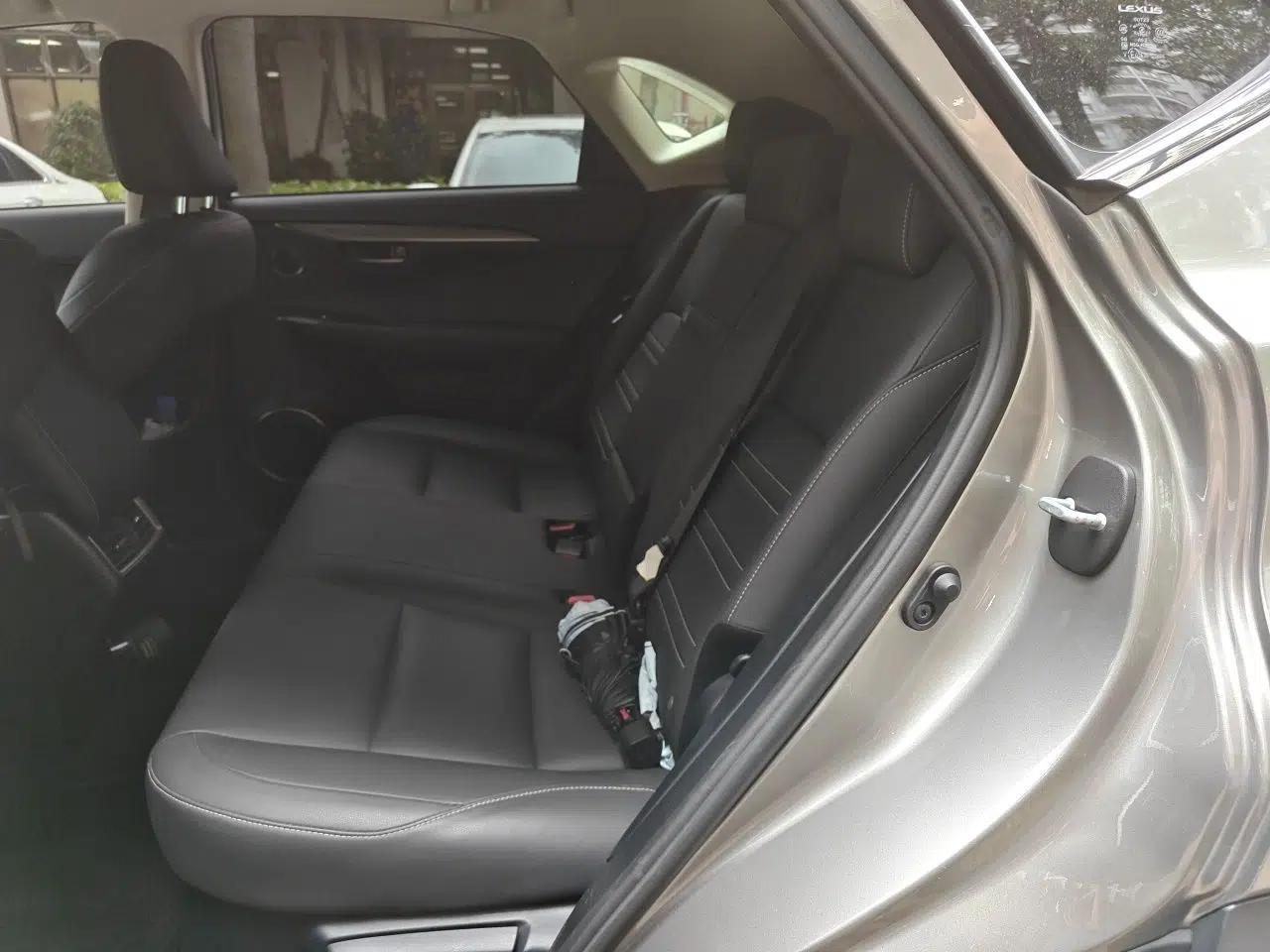 Lexus NX 2018 300h Front-Wheel-Drive FENGSHANG Version China V Emission Standard — миниатюра 18