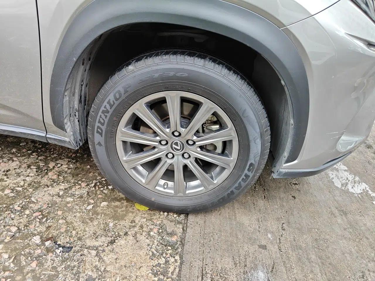 Lexus NX 2018 300h Front-Wheel-Drive FENGSHANG Version China V Emission Standard — миниатюра 8