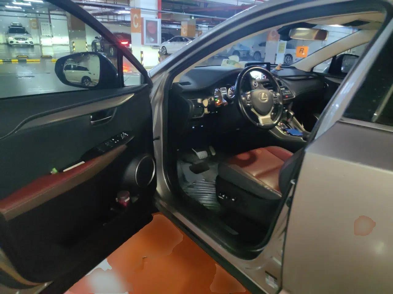 Lexus NX 2018 300h Front-Wheel-Drive FENGSHANG Version China V Emission Standard — миниатюра 17