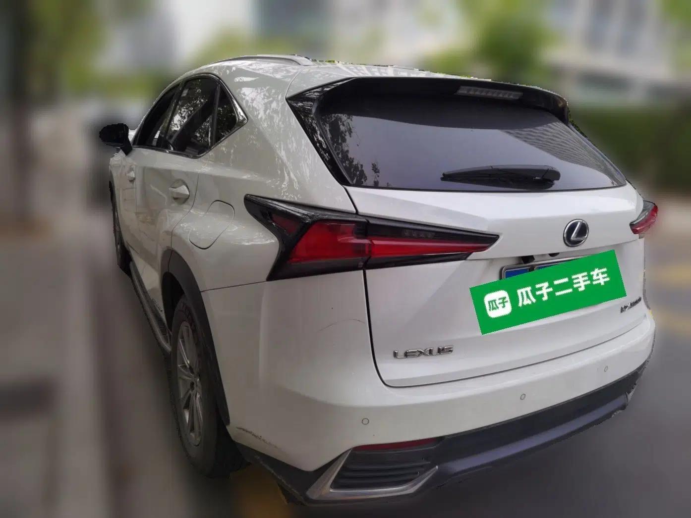 Lexus NX 2018 300h Front-Wheel-Drive FENGSHANG Version China V Emission Standard — миниатюра 4