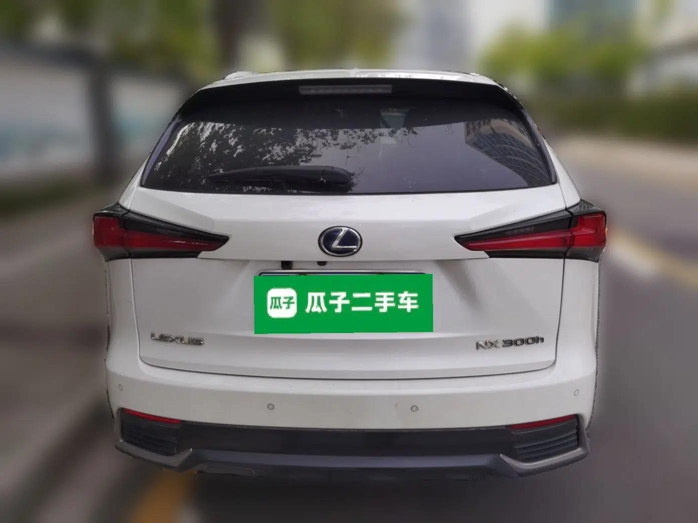 Lexus NX 2018 300h Front-Wheel-Drive FENGSHANG Version China V Emission Standard — миниатюра 5