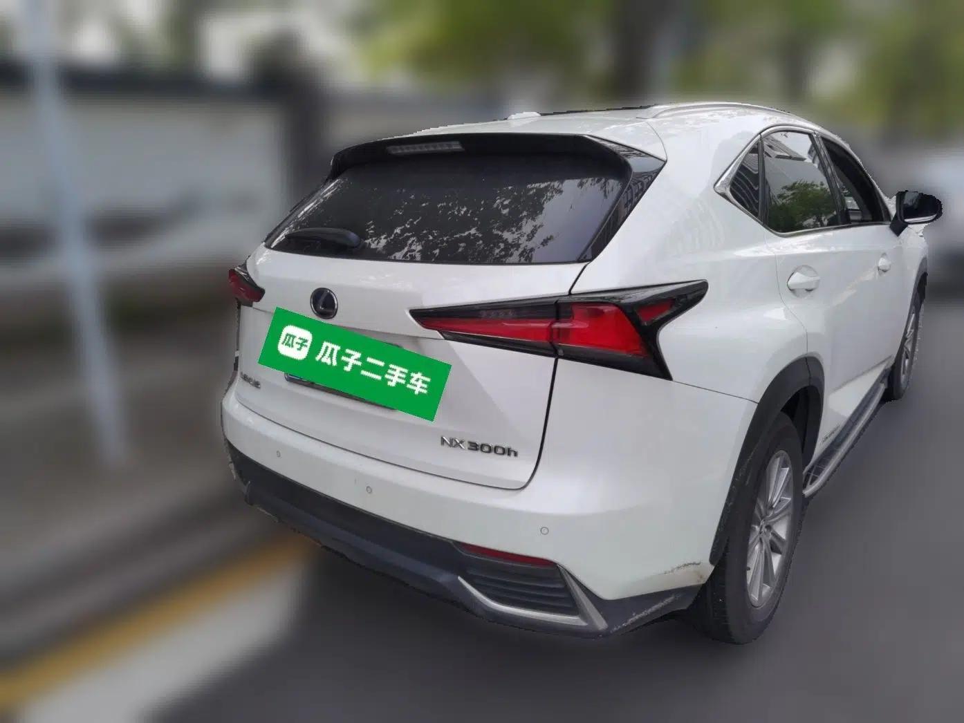 Lexus NX 2018 300h Front-Wheel-Drive FENGSHANG Version China V Emission Standard — миниатюра 6