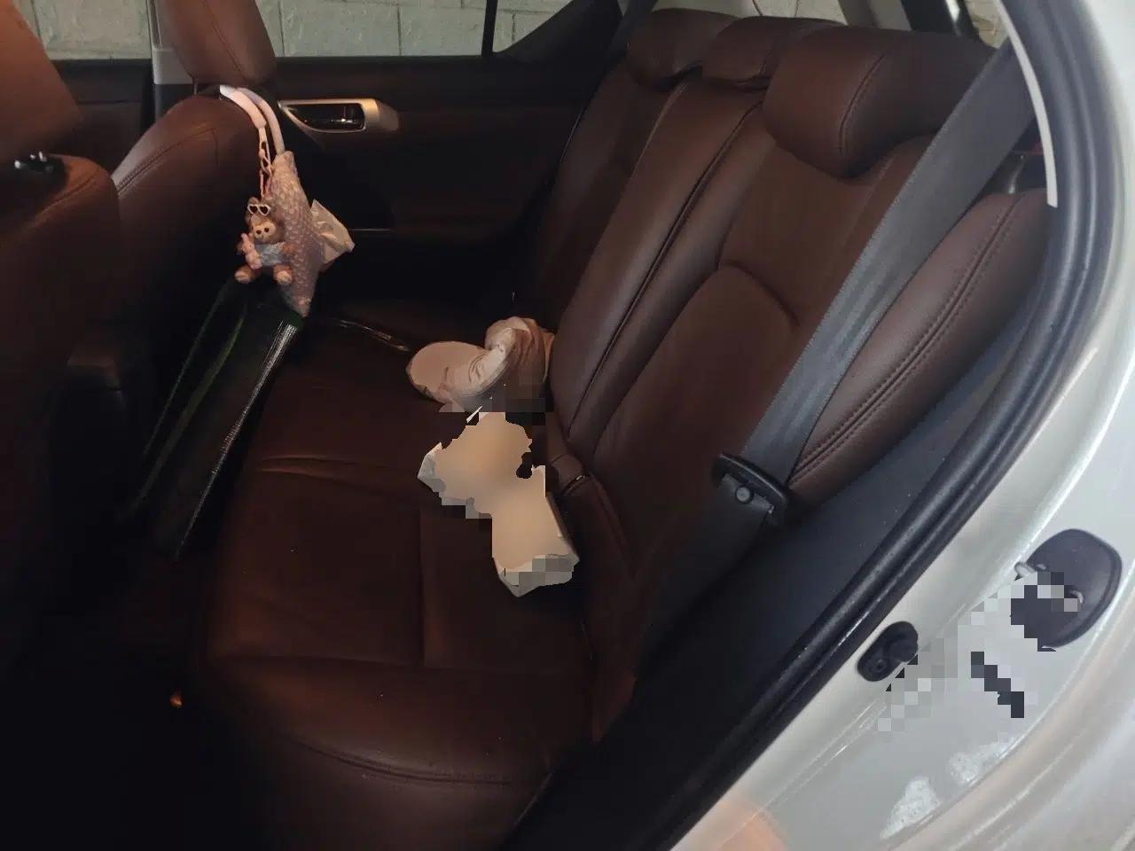 Lexus CT 2013 CT200h Floral Elegance Edition — миниатюра 18