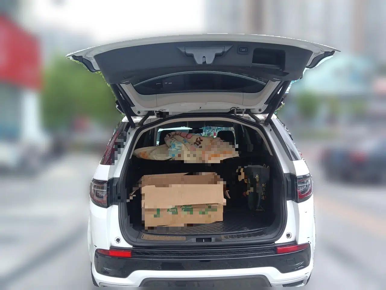 Land Rover Discovery Sport 2020 249 PS R-Dynamic Performance Edition — миниатюра 20