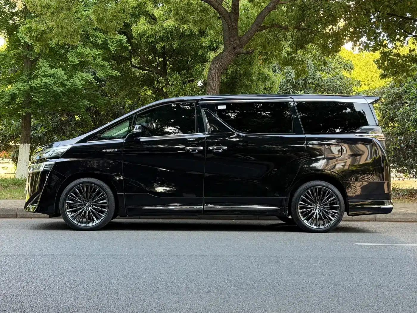 2019 Alphard Hybrid 2.5L HV Premium Edition — миниатюра 5